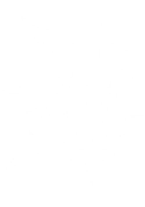 Chaos Legion Gaming